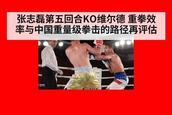 张志磊第五回合KO维尔德 重拳效率与中国重量级拳击的路径再评估