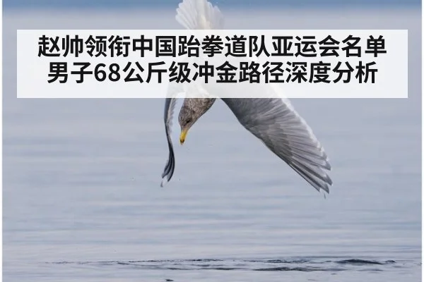 赵帅领衔中国跆拳道队亚运会名单 男子68公斤级冲金路径深度分析